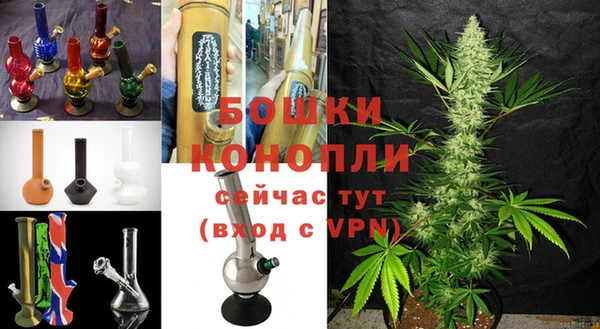 стаф Осташков