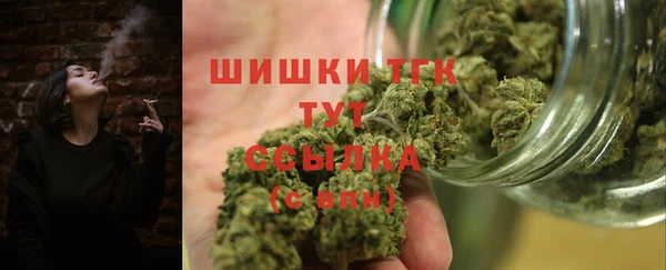 ALPHA PVP Осинники