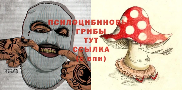 стаф Осташков