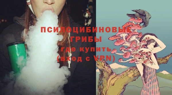 прущие крисы Няндома