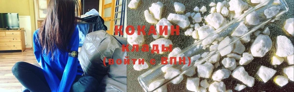 прущие крисы Няндома