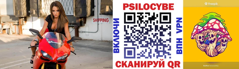 Галлюциногенные грибы Psilocybe  наркота  Тырныауз 